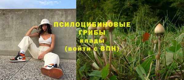 стафф Ладушкин