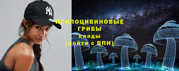 стафф Ладушкин
