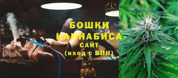 стафф Ладушкин