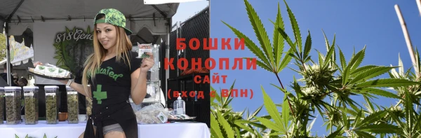 стафф Ладушкин